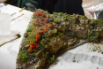 FSMREx_2016_APU_Clinics-40.jpg