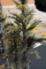 FSMREx_2016_APU_Contest-51.jpg