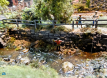 Franklin_and_South_Manchester_Railroad-40.jpg