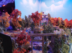 Mystic Mining Co