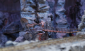 Mystic Mining Co