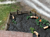 whispering Falls 345