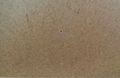 nlb6684.JPG