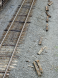 Enola Yards 043