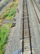 Enola Yards 106