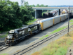 Enola Yards 110
