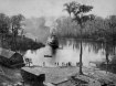 Boat coming To Spring