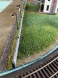 Lawn