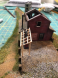 shed 1