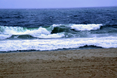 DSC_1239.jpg