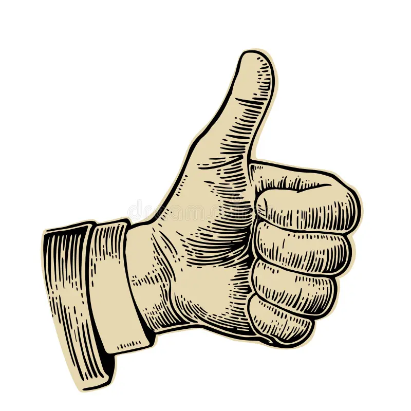thumb.webp